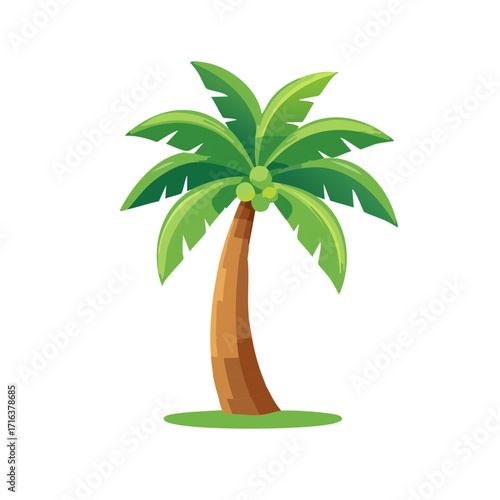 Palm Tree Illustration with Coconuts on a White Background for a Tropical Vacation Theme