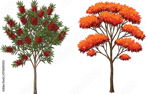 tree, foliage, nature, botanical, plant, forest, landscape, leaf, greenery, outdoor, vegetation, seasonal, autumn, floral, red, orange, blossom, decorative, vibrant, , foliage, nature,