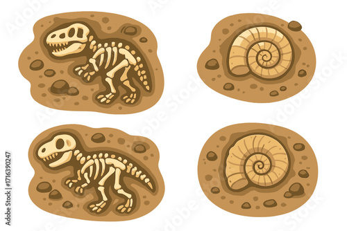 Dinosaur skeleton and ammonite fossil set. Paleontology concept with T-rex bones and ancient mollusk shell. Archaeology excavation cartoon vector illustration isolated.