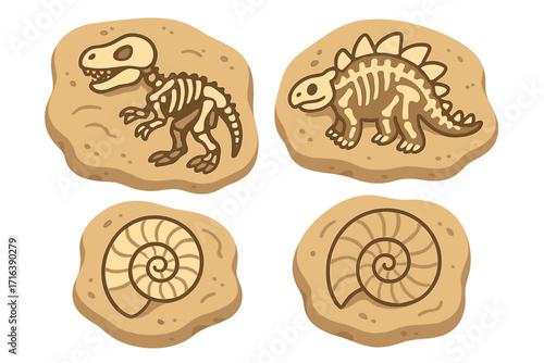 Set of cartoon fossils with dinosaur skeletons and ammonite shells. Paleontology illustration of T-rex and Stegosaurus bones. Ancient prehistoric animal remains for archaeology.