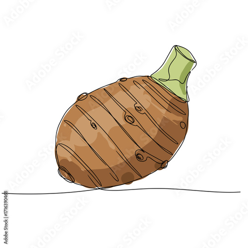Brown oval root with textured skin and green top illustration  