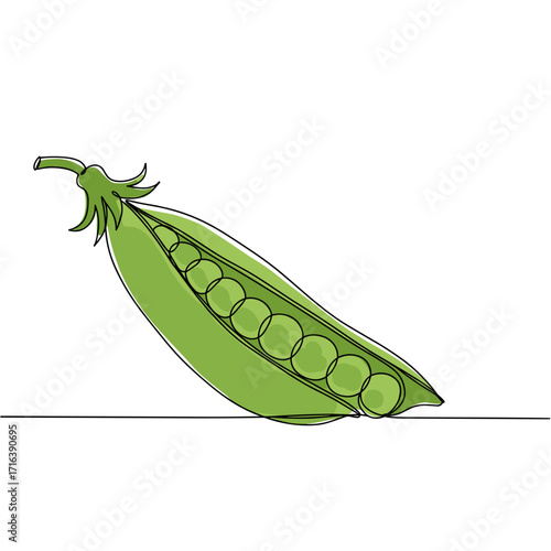Open green pea pod with round peas isolated on white background  
