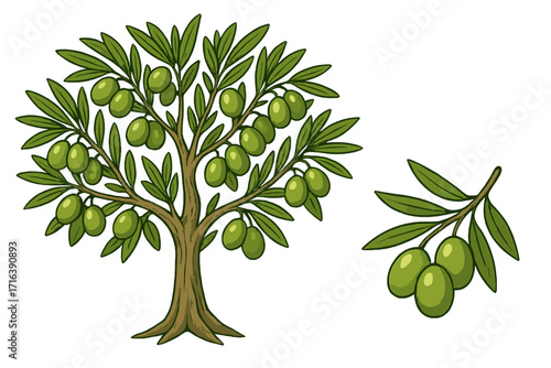 Olive tree and branch vector cartoon illustration set. Detailed green olives and leaves, symbol of nature, peace, and healthy food. Isolated organic fruit for design and decoration.