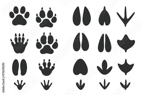 Animal tracks vector set. Paw print collection of forest wildlife and birds. Footprints silhouette for educational purposes. Dog, cat, bear, deer, duck, wolf footprint icon.
