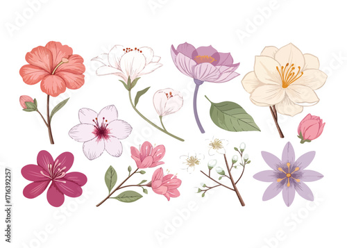 Wallpaper Mural Elegant Floral Vector Illustration with Various Blooming Flowers and Buds in Pastel Colors for Springtime Designs and Botanical Projects Torontodigital.ca