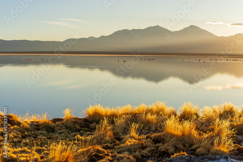 Laguna santa rosa