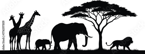 African wildlife silhouette, giraffes, elephants, lion, acacia tree, savanna scene, nature illustration