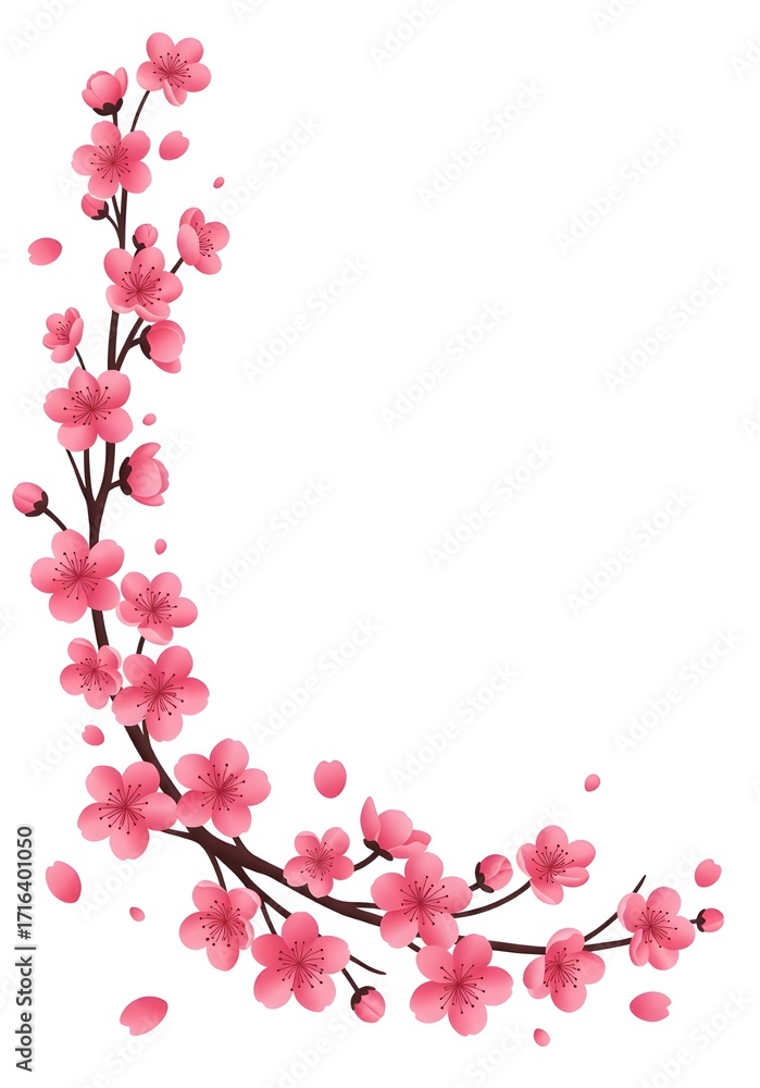 Fototapeta premium Delicate pink cherry blossoms cascade elegantly across a clean white background for spring designs