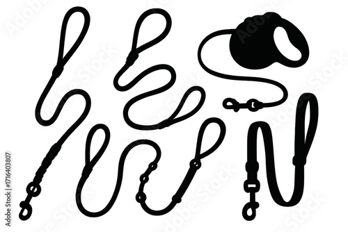 Set of dog leash silhouettes. Collection of pet leads in various styles. Vector illustration of dog walking equipment. Retractable leash and standard lead icons for pet care.