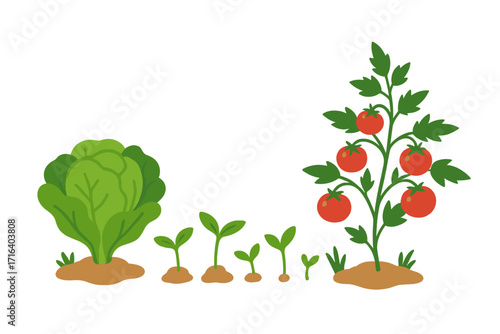 The garden is my happy place hand lettered quote with vegetable plants, green sprouts, fresh lettuce, and ripe tomato bush. Gardening nature love, homegrown organic vegetables, farm life illustration