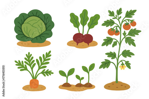 The garden is my happy place hand lettered gardening quote with vegetable plants carrot, cabbage, beets, tomato bush, sprouts, fresh garden harvest, nature greenery vector illustration