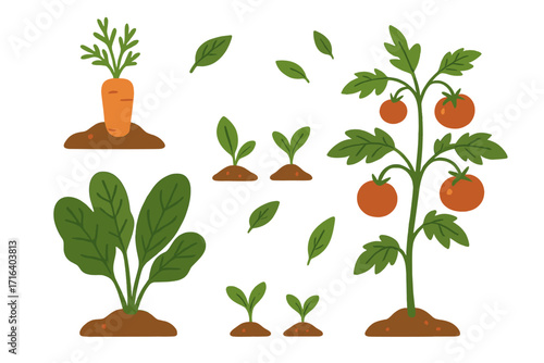 The garden is my happy place hand lettered gardening quote with vegetable plants carrot spinach sprouts tomato bush farm fresh organic growth nature home garden concept vector illustration