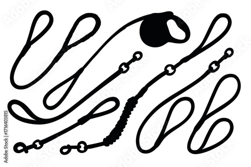 Set of dog leash silhouettes in various styles and shapes. Pet lead collection vector illustration. Dog walking equipment and accessories for training and control. Pet care concept.