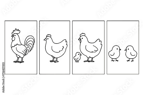 Linear set of agricultural poultry illustrations with rooster, hen, and chicks outline. Farm bird family vector composition for brochures, flyers, banners, and backgrounds.