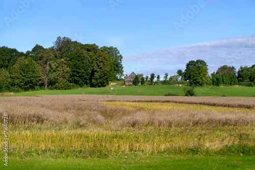 Summer rural landscape in a village in Latvia.