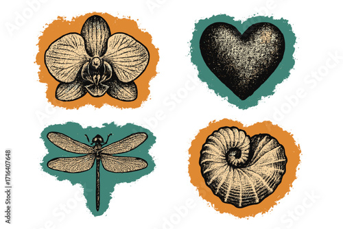 Trendy vintage summer collage set with orchid flower, heart shape, dragonfly, and seashell halftone elements, grunge punk organic shapes for modern retro mixed media design