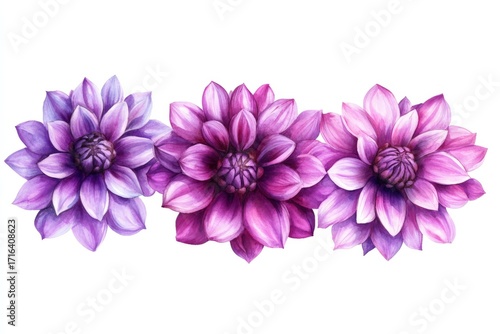 watercolor purple flower