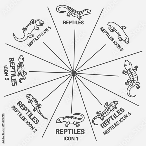 Collection of Reptile Icons and Illustrations for Educational and Informational Purposes