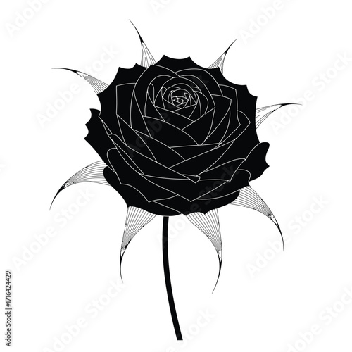 Dramatic black rose art tattoo design floral symbolism elegant bloom