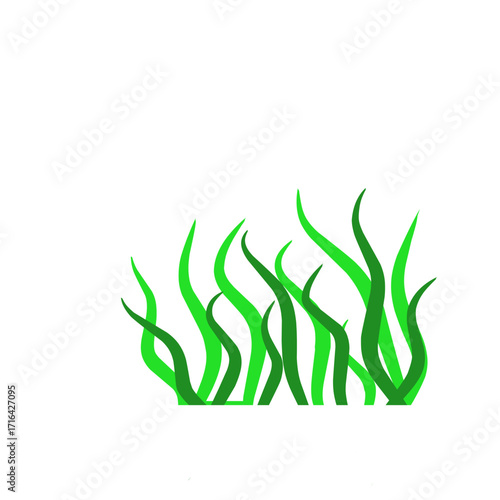 Green algae aquatic 