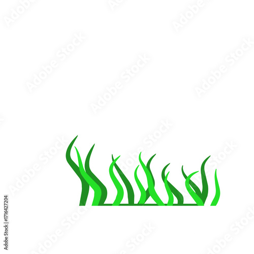 Green algae aquatic 