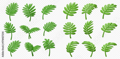 Collection of green fern leaves in various orientations and arrangements on a transparent background.