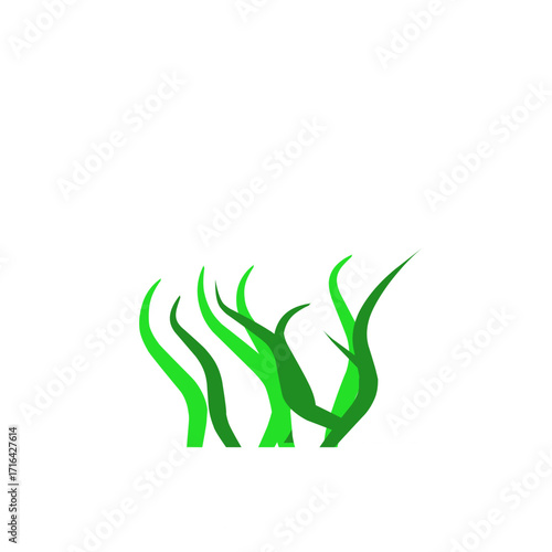 Green algae aquatic 