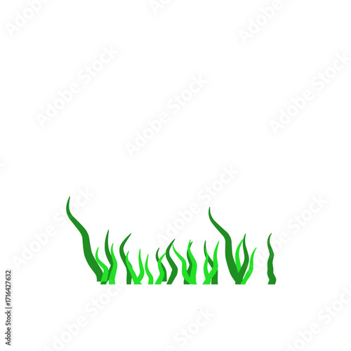 Green algae aquatic 