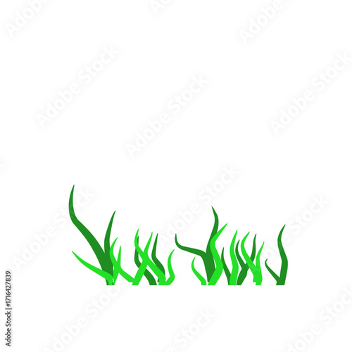 Green algae aquatic 