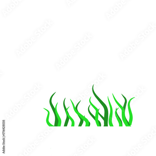 Green algae aquatic 