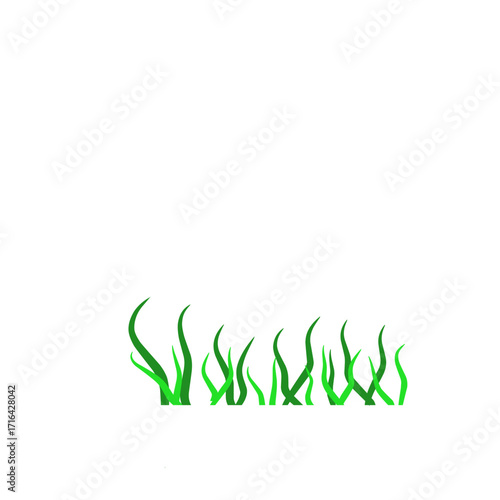 Green algae aquatic 