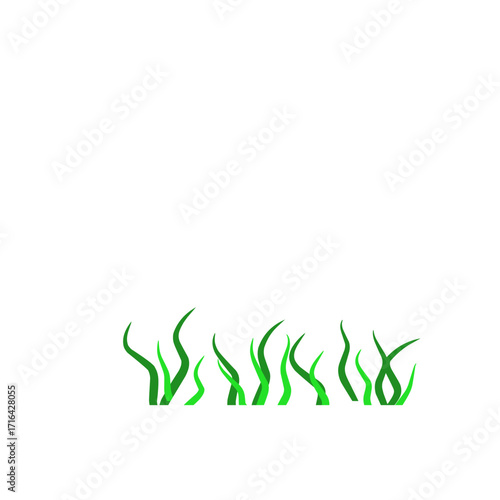 Green algae aquatic 