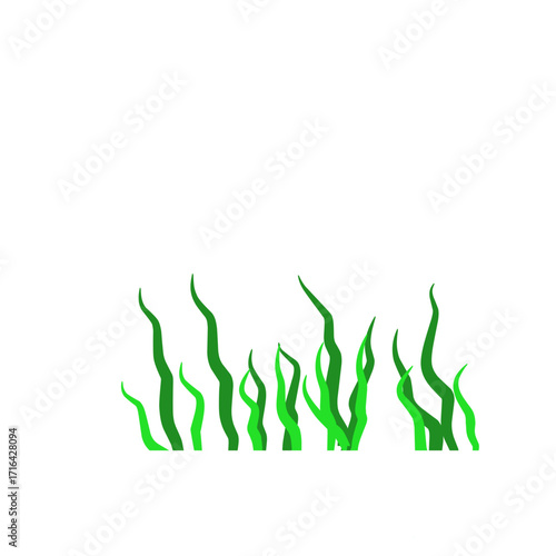 Green algae aquatic 