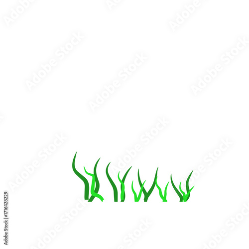 Green algae aquatic 