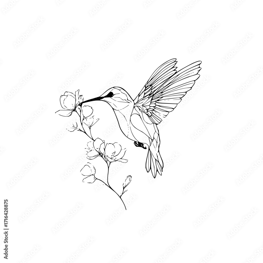 Obraz premium Hummingbird line art drawing vector illustration with flower branch nature design for print and tattoo art