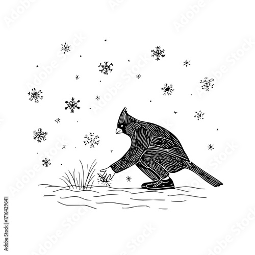 Winter cardinal bird illustration in snow with snowflakes seasonal holiday art black and white drawing design