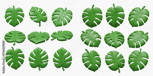 Collection of stylized green monstera leaves in various orientations on a transparent background.
