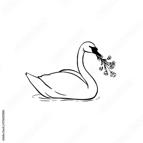 Elegant swan drawing with flowers in beak vector illustration for nature and wildlife designs and prints