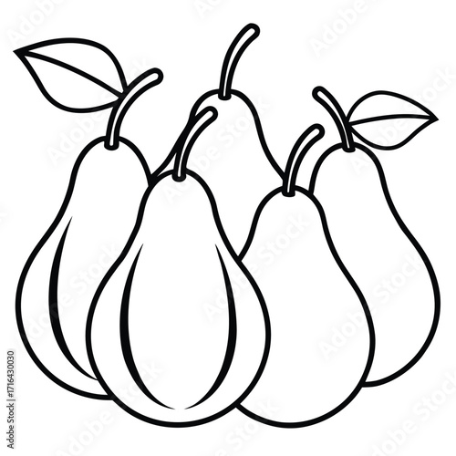 Modern style pear fruit vector collection with vibrant colors and clean design