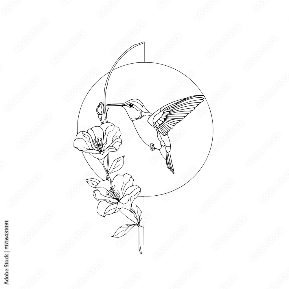 Obraz premium Hummingbird line art drawing with flowers and geometric circle design for wall art and tattoo inspiration