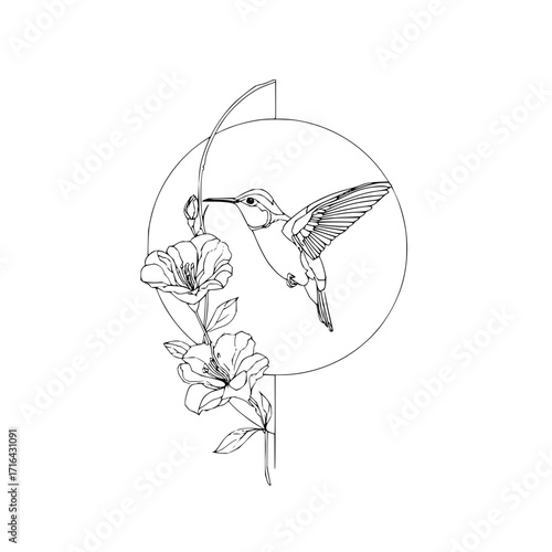 Hummingbird line art drawing with flowers and geometric circle design for wall art and tattoo inspiration