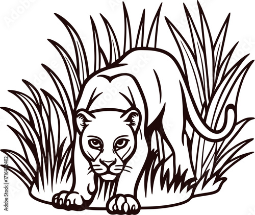 Wild puma crouching in tall grass hand drawn big cat illustration with intense eyes and detailed jungle vegetation