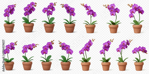 Twelve potted purple orchid plants in varying positions against a transparent background.