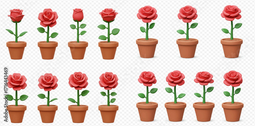 Illustration of a rose plant's growth stages, from bud to full bloom, in a brown terracotta pot, arranged in a grid.