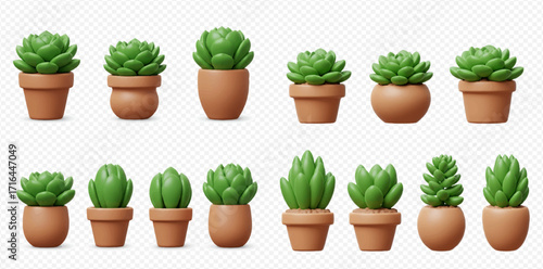 Collection of fifteen small potted succulent plants arranged in two rows on transparent background.