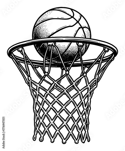 Basketball Rim with Ball Net and Hoop Black and White Outline Line Art Drawing Vintage Sports Etching
