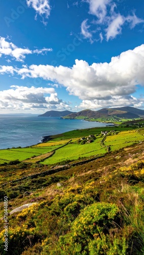Panoramic coastal landscape.  Rolling hills meet ocean.  Bright sky with puffy clouds.  Pastoral scene