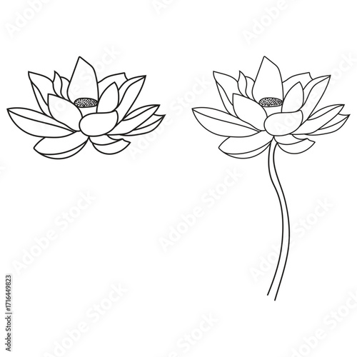 Lotus flower vector silhouette illustration