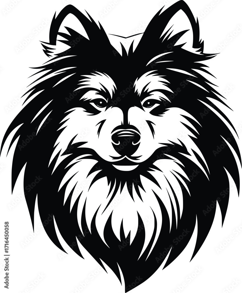 Obraz premium Keeshond head silhouette with thick ruff, pointed ears, and expressive eyes in black vector