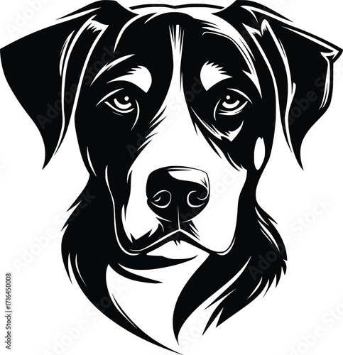 Greater Swiss Mountain Dog head silhouette with strong muzzle, broad face, and alert eyes vector